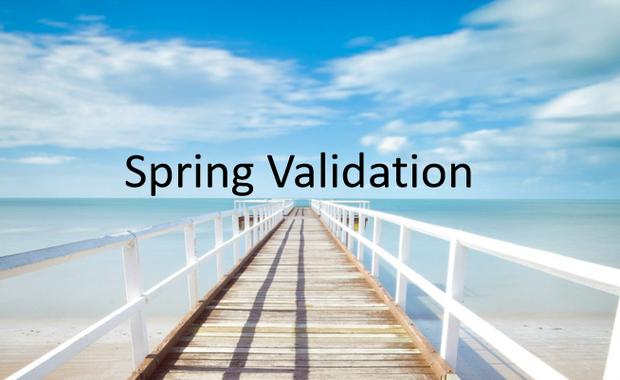 Spring Validation如何实现参数校验的优雅方式？