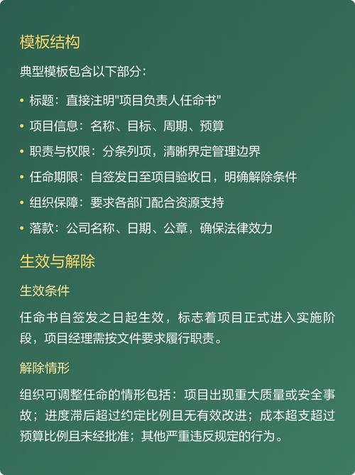 这个项目最初由哪位领导担任第一负责人呢？