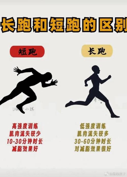 田径运动与具体项目之间有何根本性差异？
