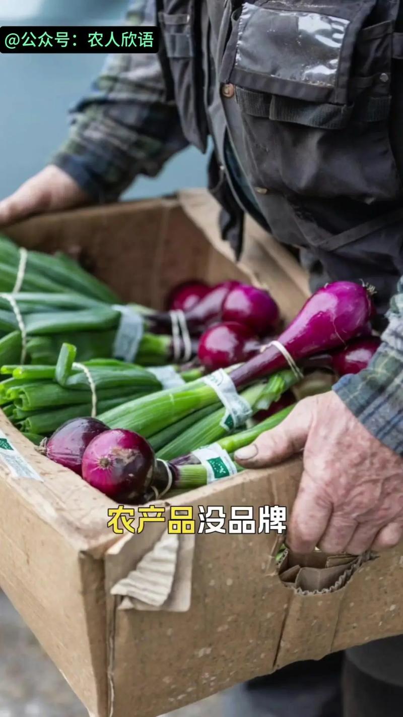 农女逆袭，土特产全网营销传奇，如何打造爆款？