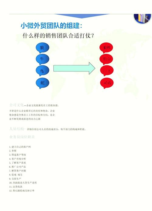 如何挑选外贸SEO专业团队，哪家更胜一筹？
