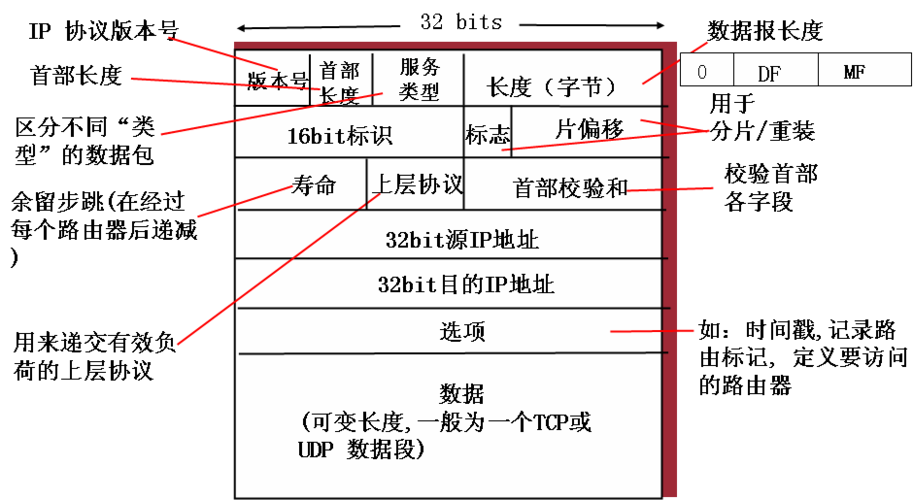 《ASCE1885》中IP数据报格式是怎样的？