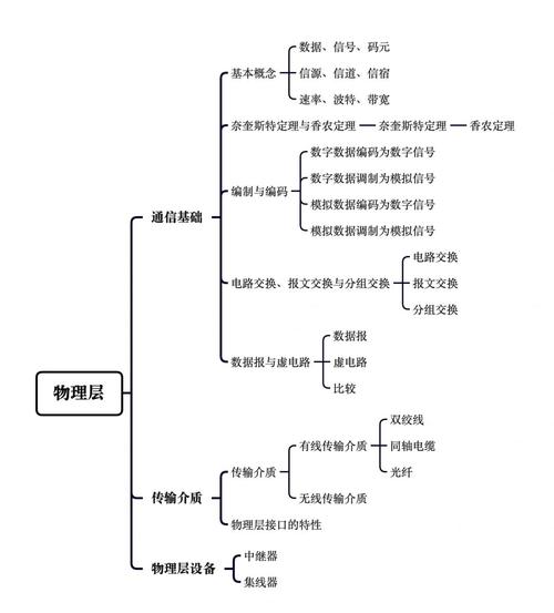 计算机网络中，物理层具体指的是哪一层？