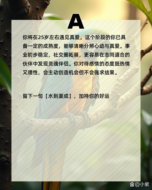 如何用JavaScript制作一个长尾词的飞翔小鸟动画效果？