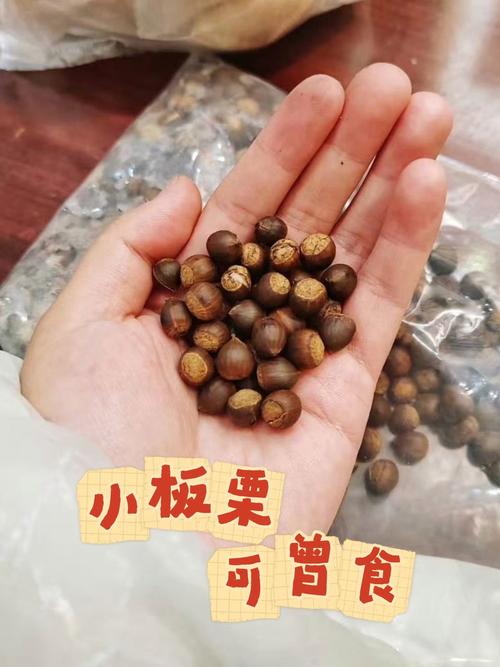 2-c小栗子是什么意思？