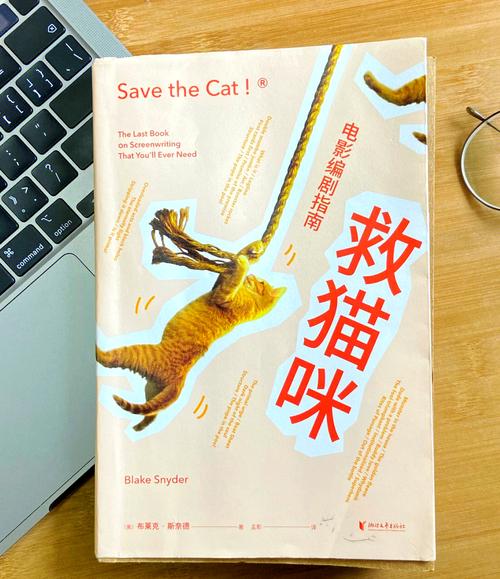 编剧秘籍速览中，有哪些关键技巧是新手编剧必须掌握的？