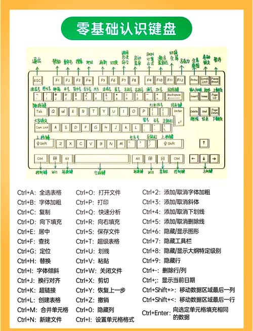 数据表基本操作集包含哪些具体内容？