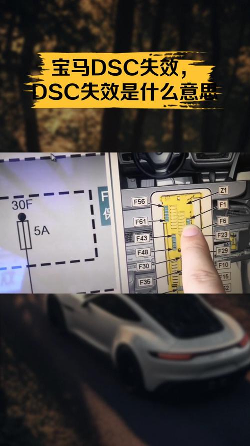 为什么element的autofocus属性在最新版本中总是失效？