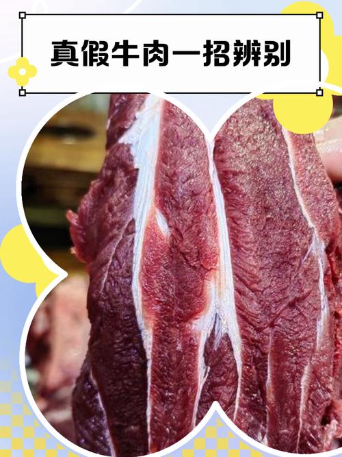 百度百科与真实牛否的探讨，哪个更贴近事实真相？