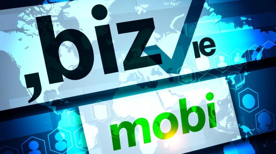 投资.biz和.info域名，哪个更具价值和潜力？