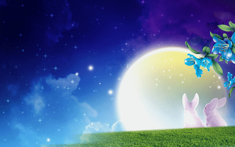 桌面动态壁纸软件中，哪款动态壁纸软件使用体验最好？