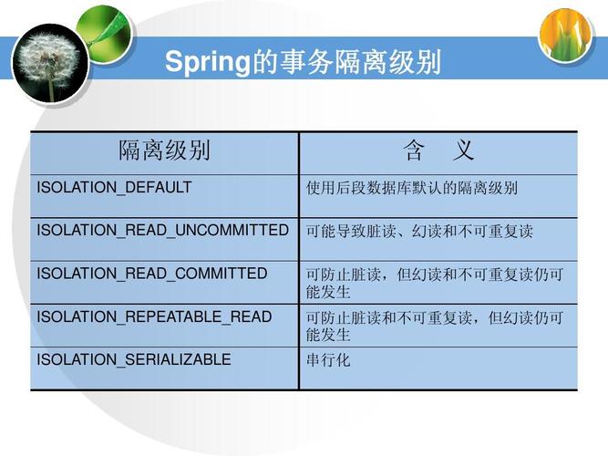 Spring事务的隔离级别具体有哪些不同等级？