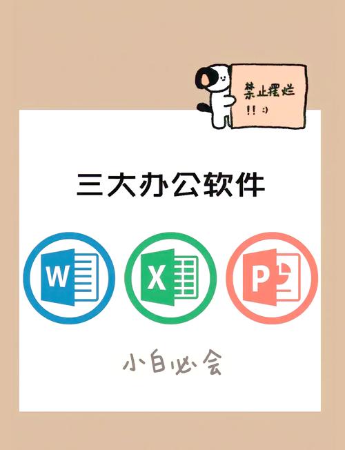 请问在办公场景中，哪三种软件被广泛使用？