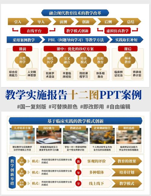 项目实施目的与背景的根本差异是什么？