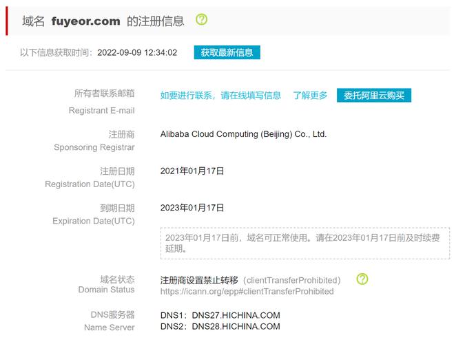 如何通过WHOIS查询准确找到域名的真实所有者联系方式?