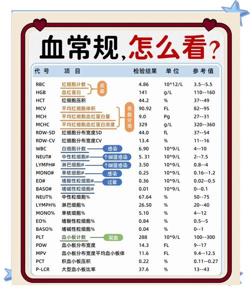 贫血和血常规检查有哪些本质区别？