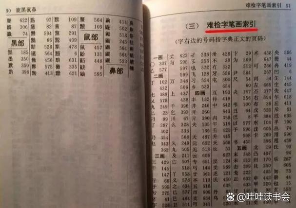 如何用字典树高效查询长尾词在电话簿中的出现？