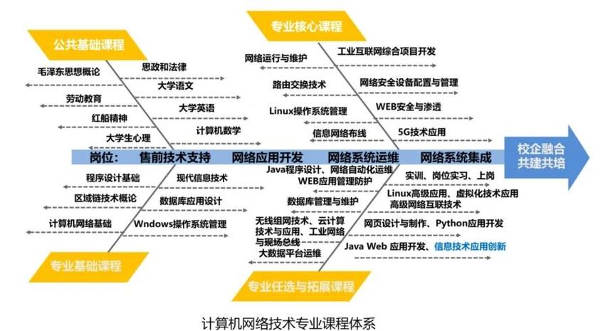如何深入探讨网站建设专业化之路，解析学习难度与洞察？