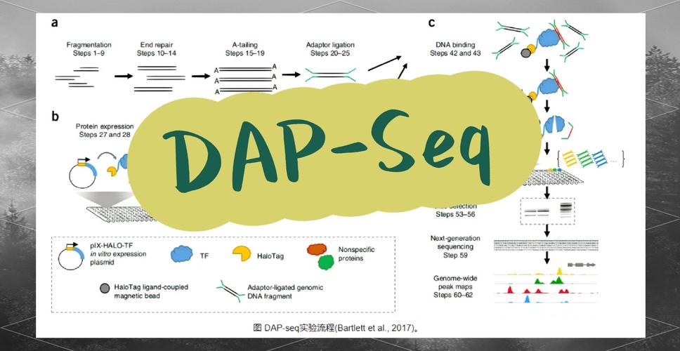 Dapr 1.7版本中分布式应用运行时有哪些新特性？