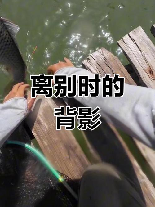 为何他突然转身离去？