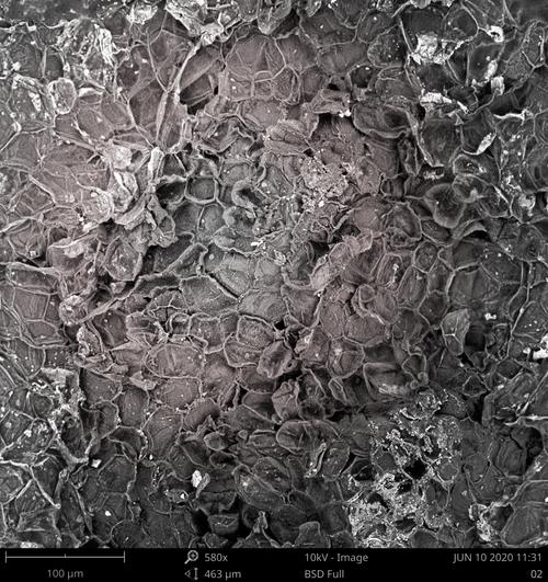 什么是SEM？进行SEM分析需要掌握哪些具体技术？