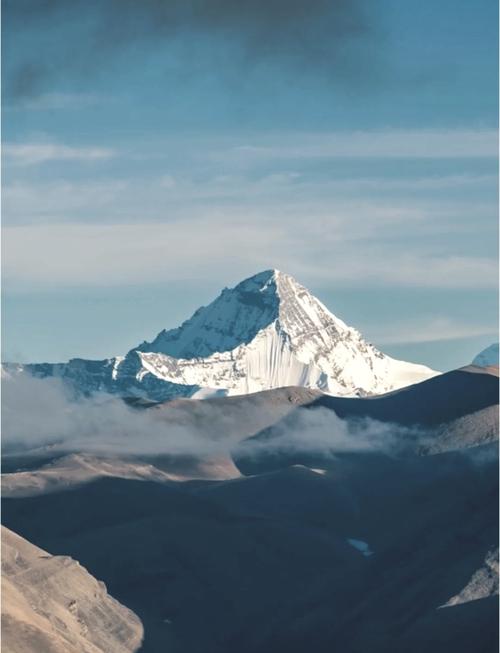 目前全球搜索霸主排名是怎样的？