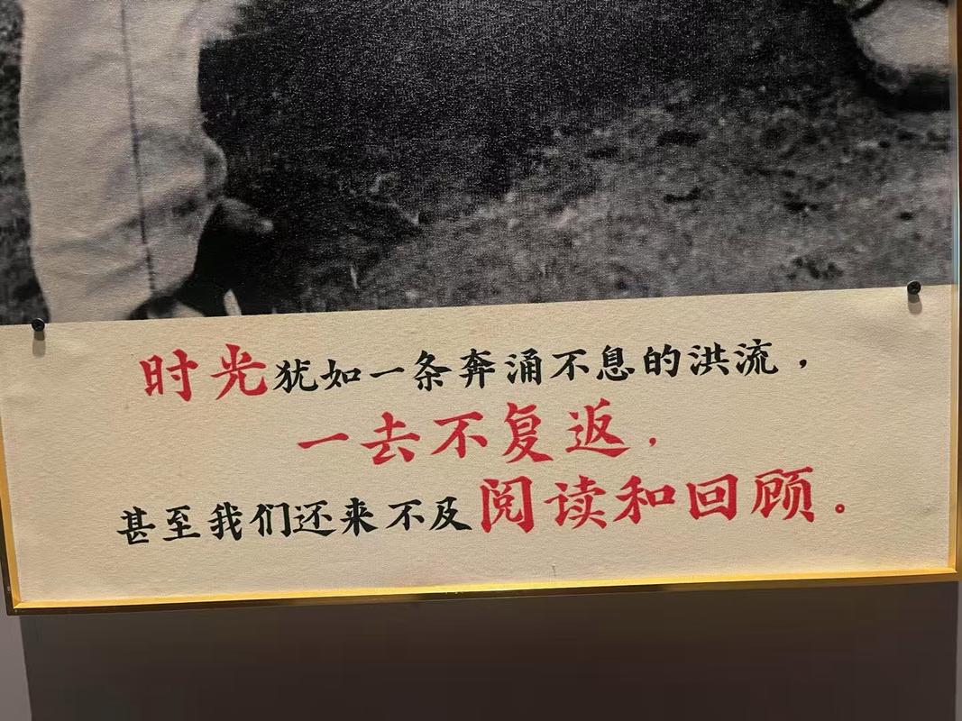 珍藏照片背后的故事，为何不舍得删掉呢？