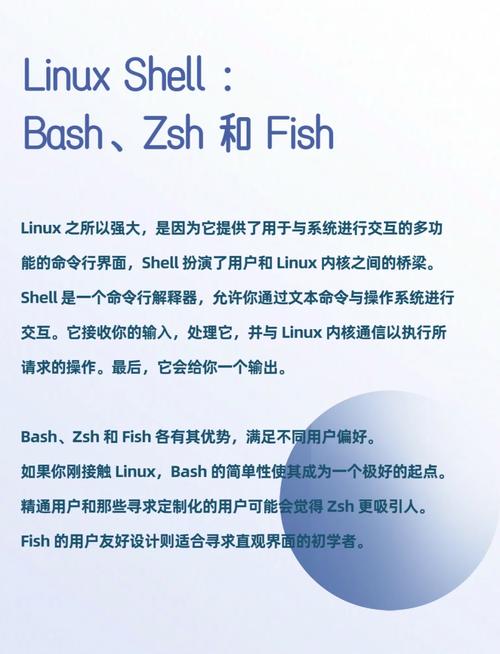 Solaris Shell与Shell Script的区别和特点有哪些？