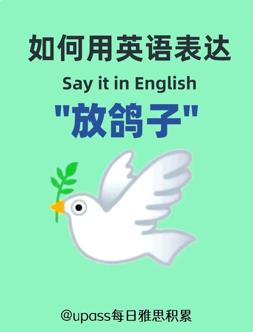 Hiho是什么意思？