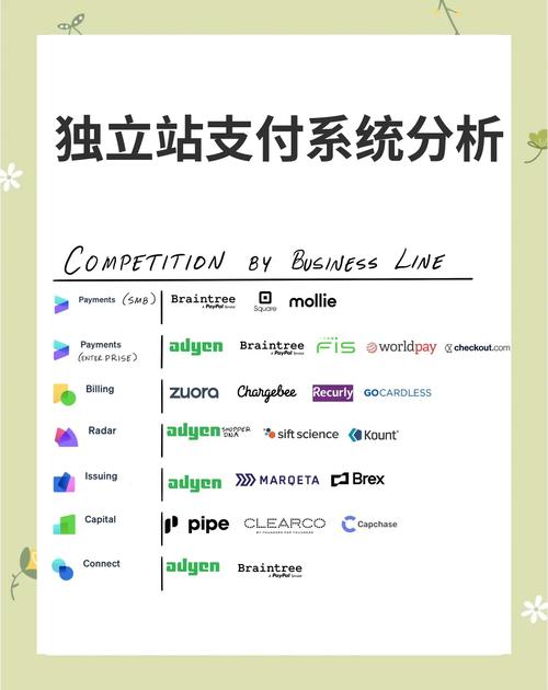 独立站是否具备自建支付系统功能呢？