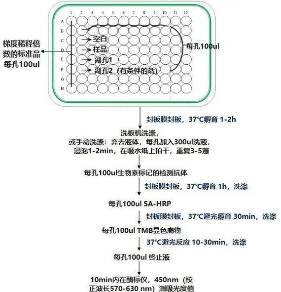 使用FormsAuthentication.SetAuthCookie后，如何判断Request.IsAuthenticated状态？