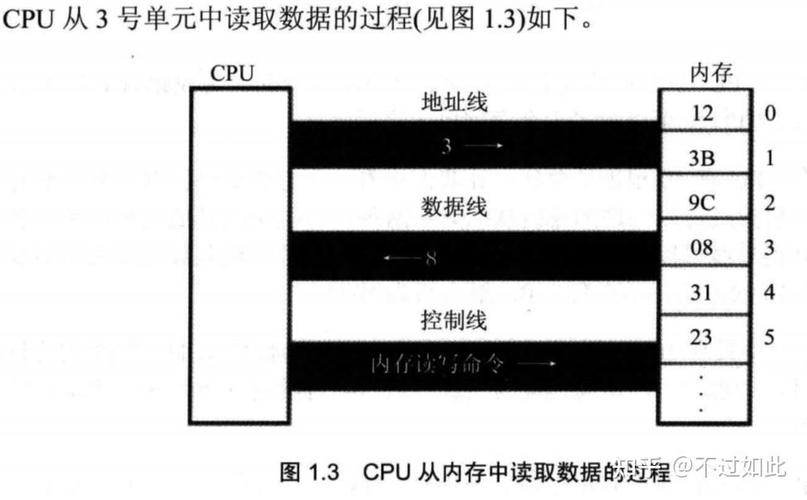 汇编语言第一章究竟涵盖了哪些基础概念和原理，能否详细解释一下？