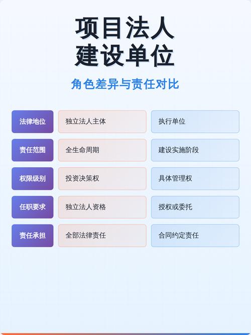 项目法人与建设单位有何根本性差异？