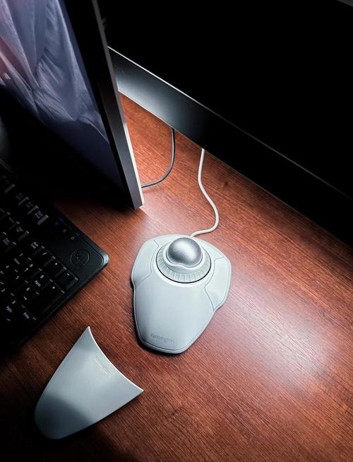 德尔福反转光标颜色，如何实现？