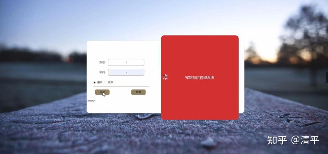 如何用Java编写宠物商店管理系统的代码？
