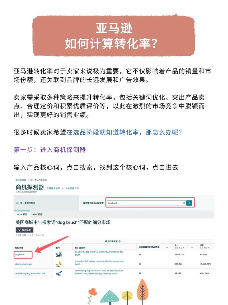 如何快速计算亚马逊转化率，掌握爆款打造秘诀？
