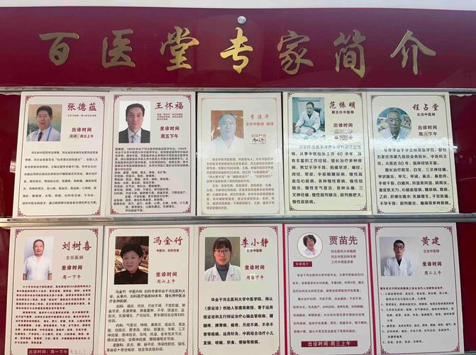 石家庄SEO领域有哪些专家值得推荐？