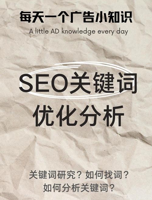 如何全面分析并高效应用揭秘SEO策略？