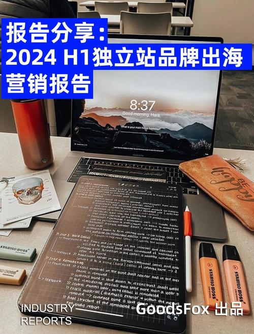 韩国独立站市场潜力大吗？如何成为品牌出海的新蓝海？