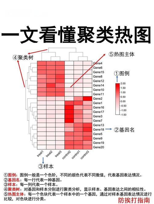 《AGC论文解读：如何通过自适应图卷积实现属性图聚类？》