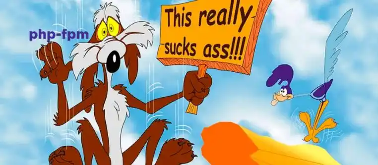 快看！有没有什么能让PHP程序加速的神器，比如Roadrunner？