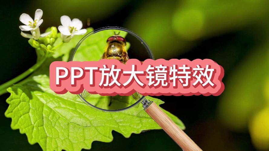 我是否已经掌握了制作网站所需的所有基础知识？🔍