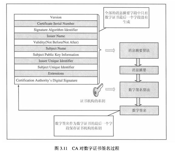 什么是PKI证书在网络安全中扮演着怎样的关键角色？