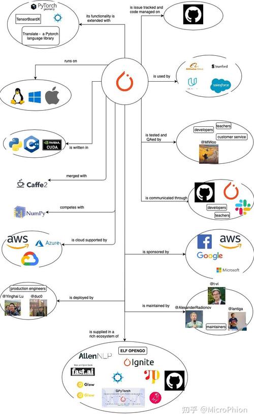 Pytorch中的长尾词如何高效处理？