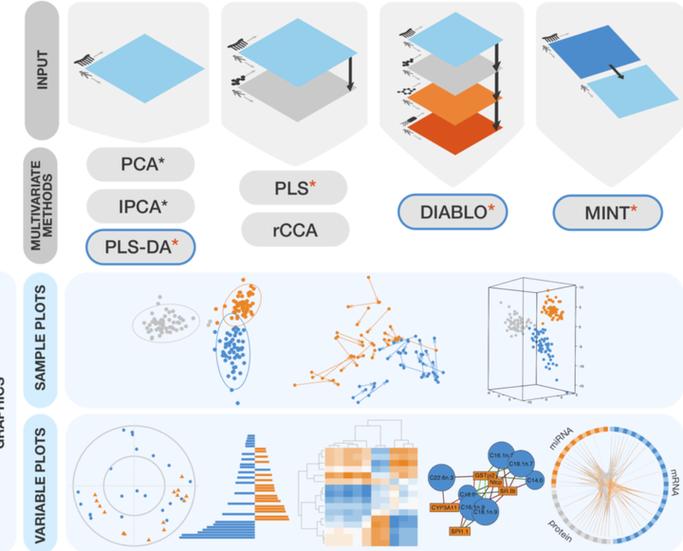 如何运用position属性巧妙实现复杂多列布局设计？