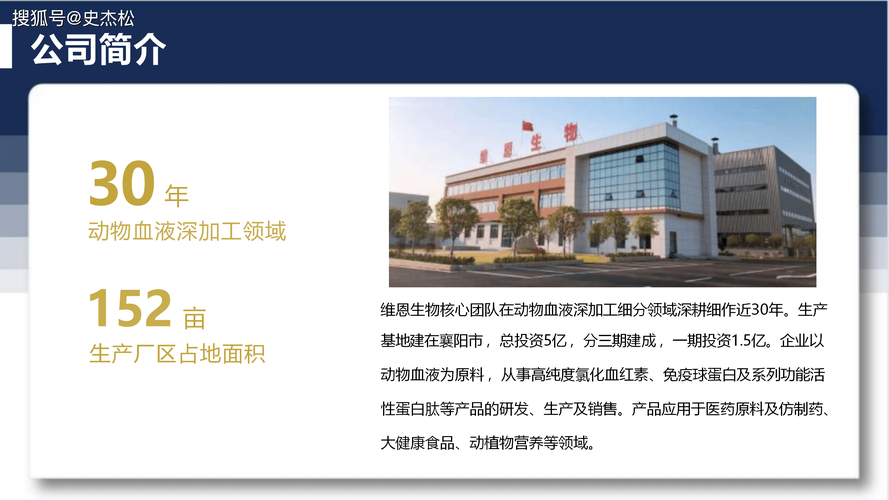 企业网站内容应包含哪些方面？如何全面展示企业实力与品牌形象？