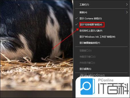 win10如何设置任务视图快捷键？