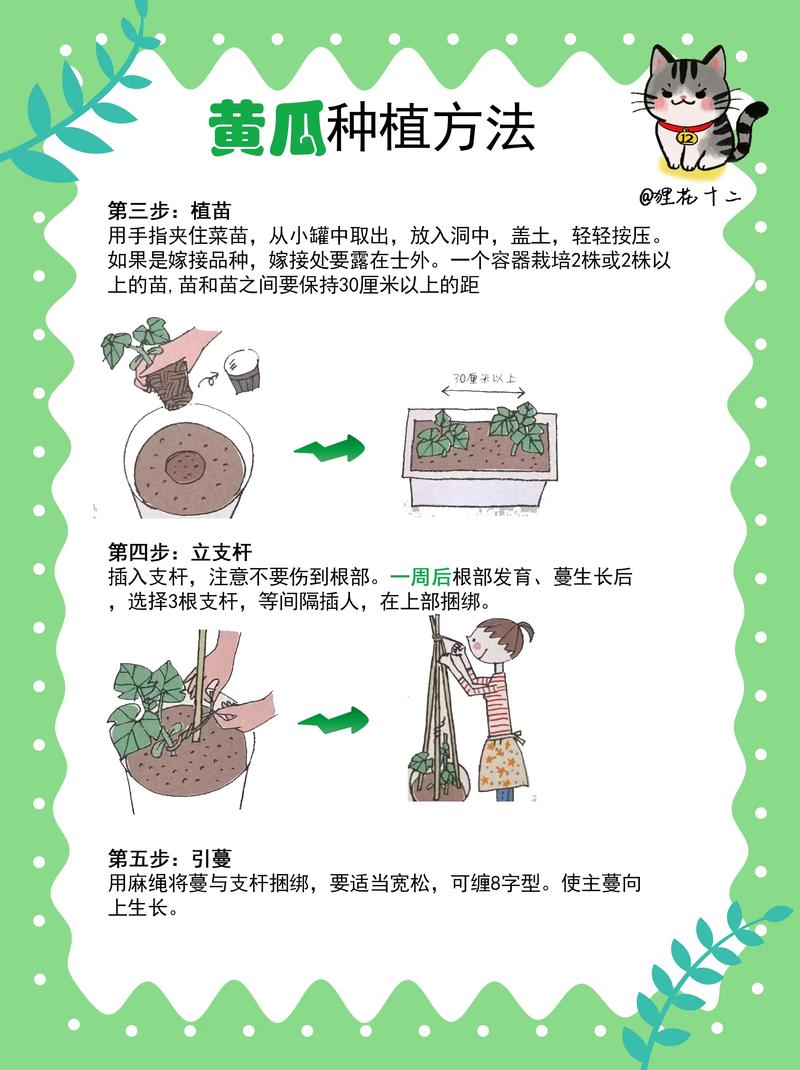 如何建设农作物种植技术官网，有效聚焦作物栽培技术与知识传播？
