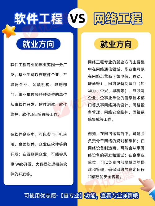 网络工程与软件工程有哪些本质区别，能一语道破其中的关键差异吗？