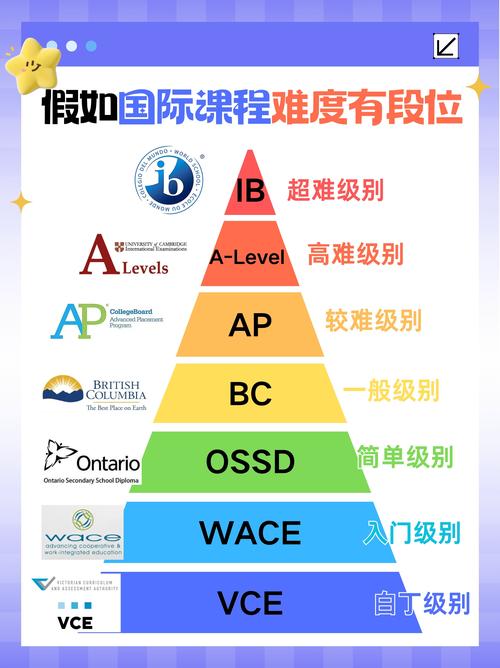 如何判断网站SEO优化课程的学习难度等级?